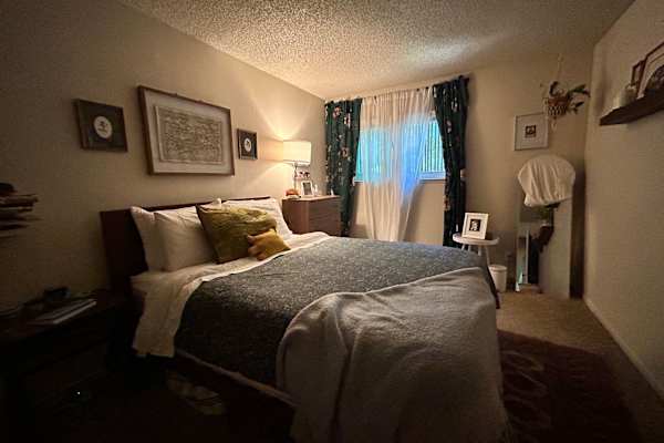 House sit in Davis, CA, US