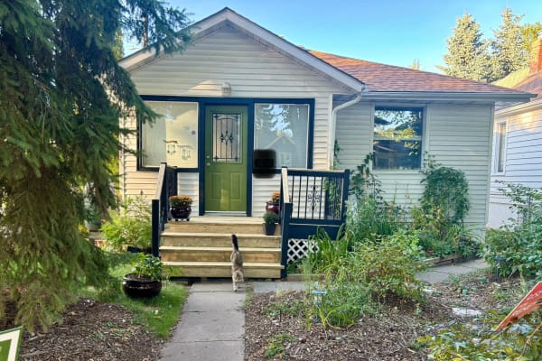House sit in Edmonton, AB, Canada