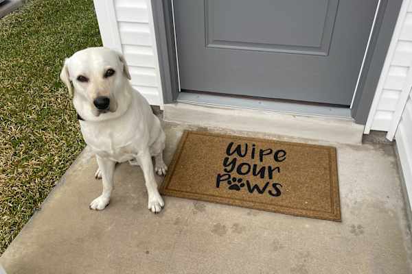 House sit in Wildwood, FL, US