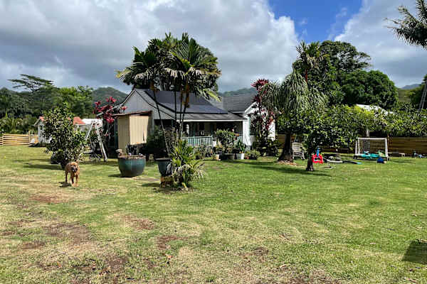 House sit in Po‘ipū, HI, US