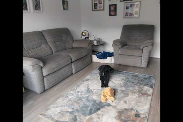 House sit in Manchester, United Kingdom