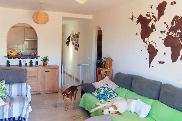 House sit in La Cala De Mijas, Spain