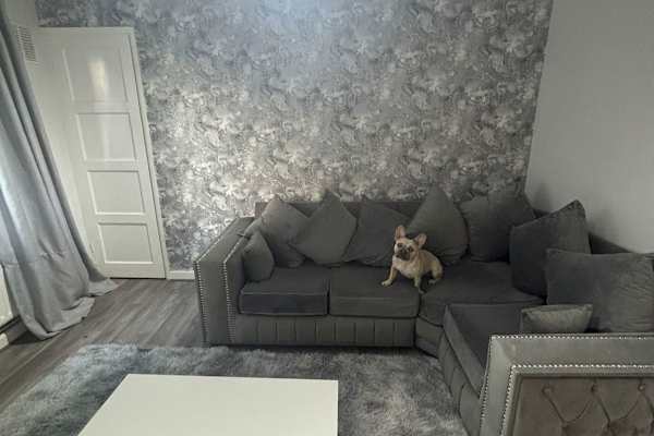 House sit in Manchester, United Kingdom