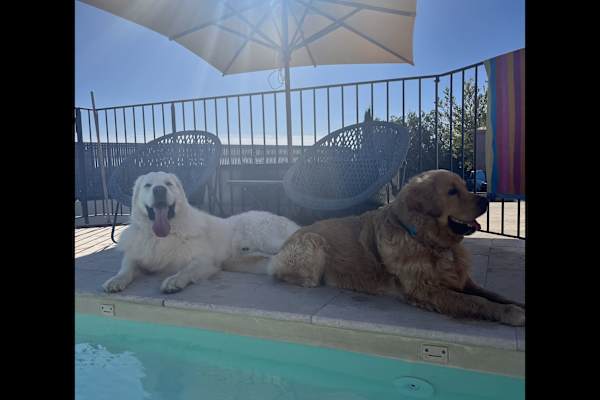 House sit in Saint-Cannat, France