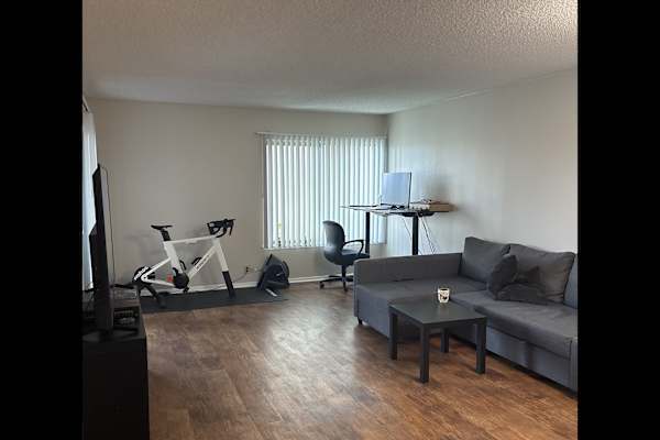 House sit in San Mateo, CA, US