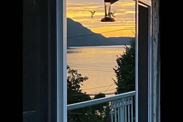 House sit in Maple Bay, BC, Canada