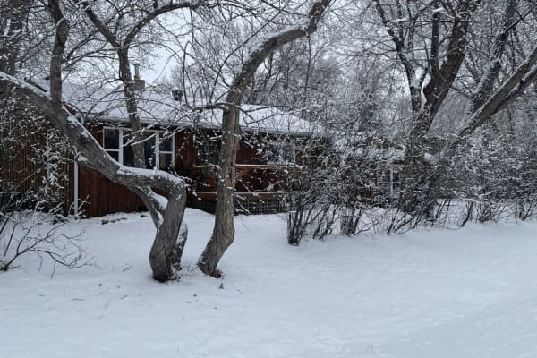 House sit in Morden, MB, Canada