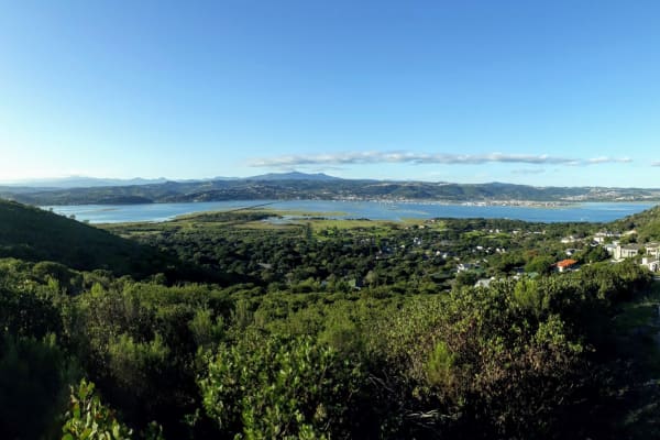 House sit in Knysna, South Africa