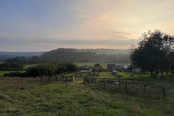 House sit in Umberleigh, United Kingdom