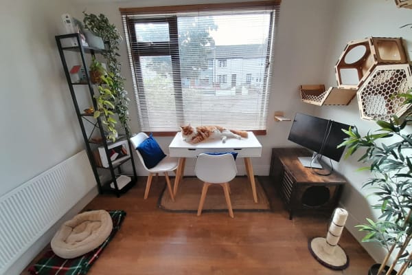 House sit in Dublin, Ireland