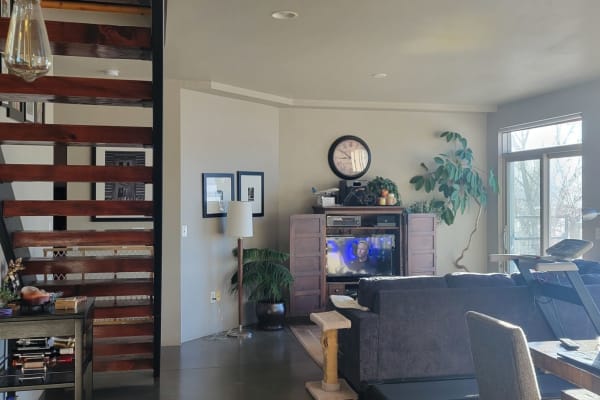 House sit in Steamboat Springs, CO, US