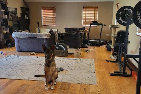 House sit in West Row, United Kingdom