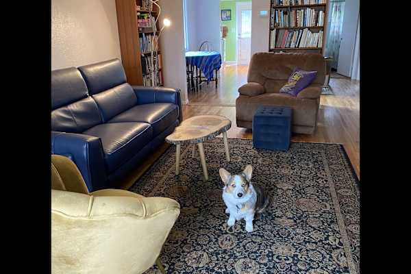 House sit in Victoria, BC, Canada