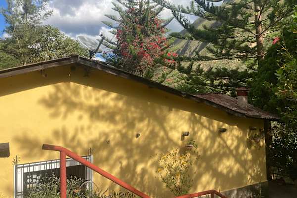 House sit in Chachapoyas, Peru