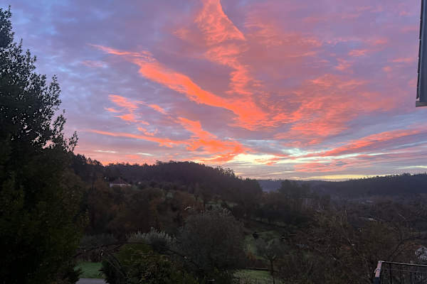 House sit in Pombal, Portugal