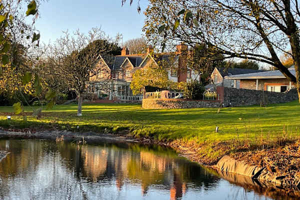 House sit in Cowbridge, United Kingdom