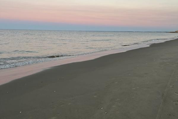 House sit in Milton, DE, US