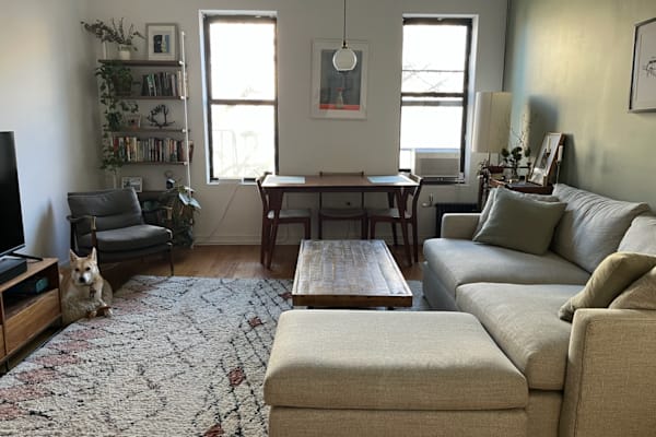 House sit in Brooklyn, NY, US