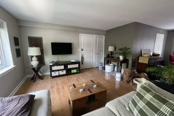 House sit in Evanston, IL, US