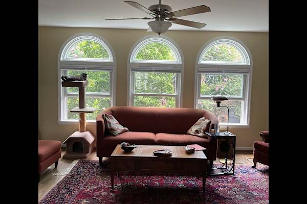 House sit in Washington, D.C., Washington, D.C., US