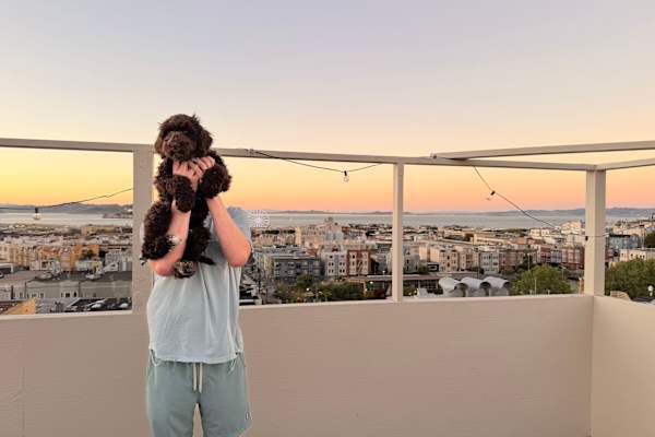 House sit in San Francisco, CA, US