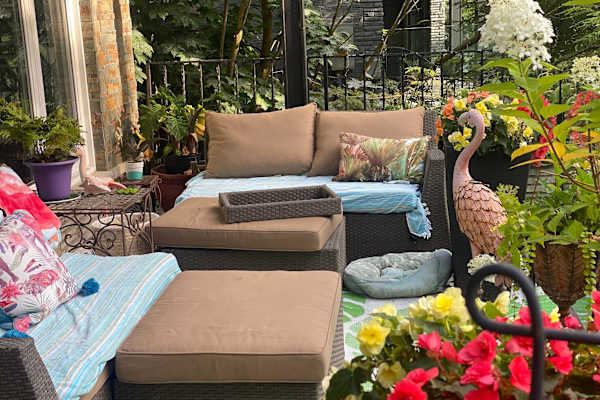 House sit in Scarborough, ON, Canada