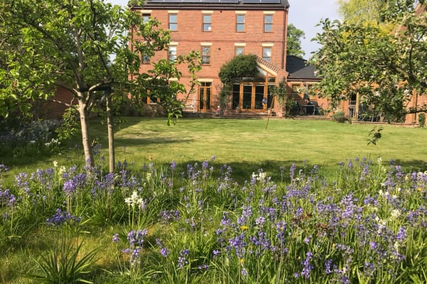 House sit in Devizes, United Kingdom