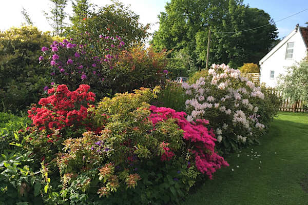 House sit in Framlingham, United Kingdom