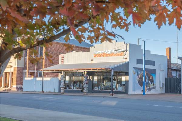 House sit in West Wyalong, NSW, Australia