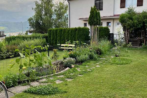 House sit in Innsbruck, Austria