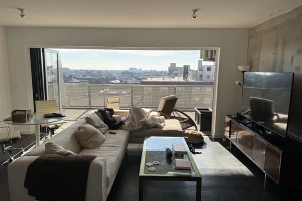 House sit in Brooklyn, NY, US