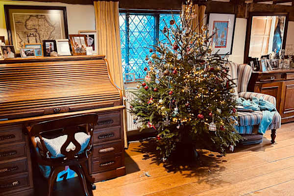 House sit in Guildford, United Kingdom