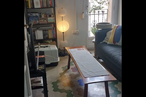 House sit in Valencia, Spain