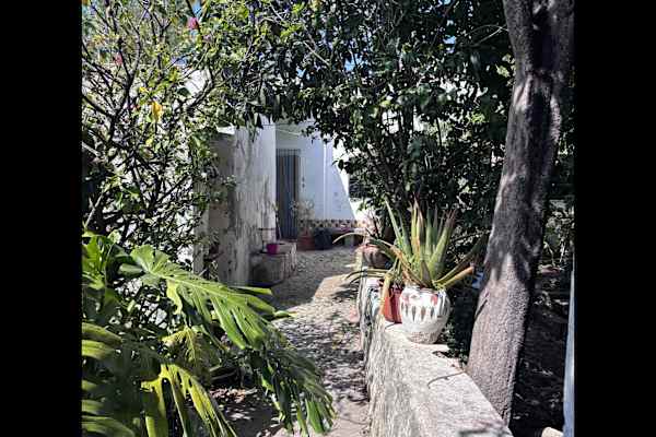 House sit in Moncarapacho, Portugal