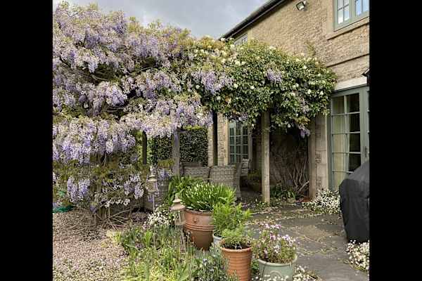 House sit in Bradford-on-Avon, United Kingdom