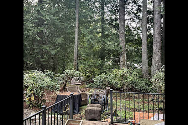 House sit in Port Ludlow, WA, US