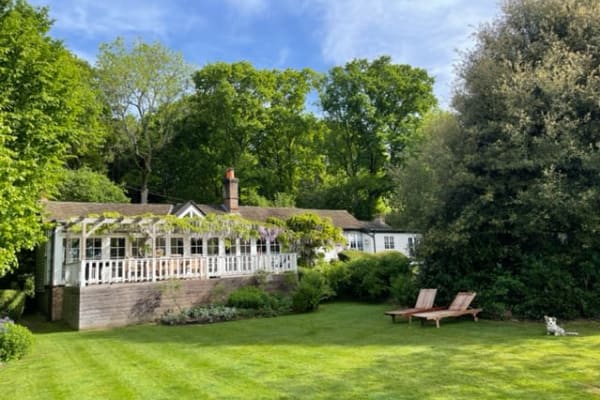 House sit in Ewhurst, United Kingdom