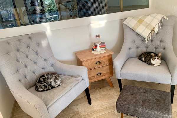 House sit in Bischofsheim, Germany