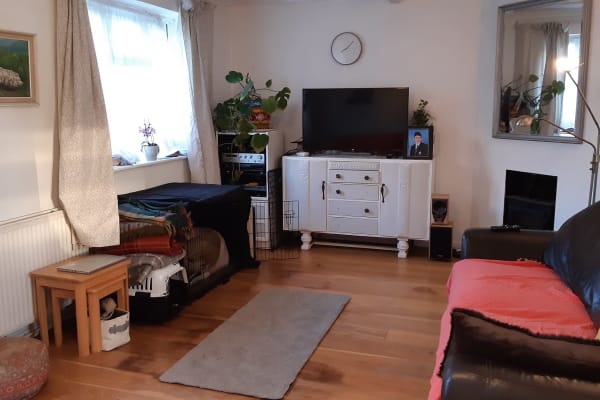 House sit in Tonbridge, United Kingdom