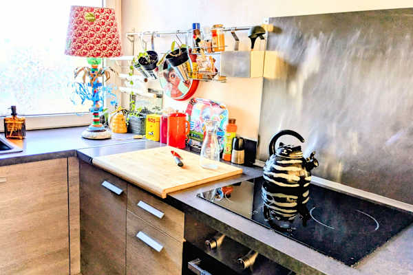 House sit in Toulouse, France