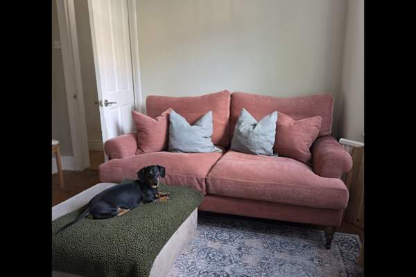 House sit in Walthamstow, United Kingdom