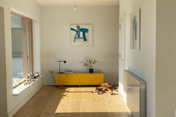 House sit in Cork, Ireland