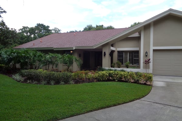 House sit in Tampa, FL, US