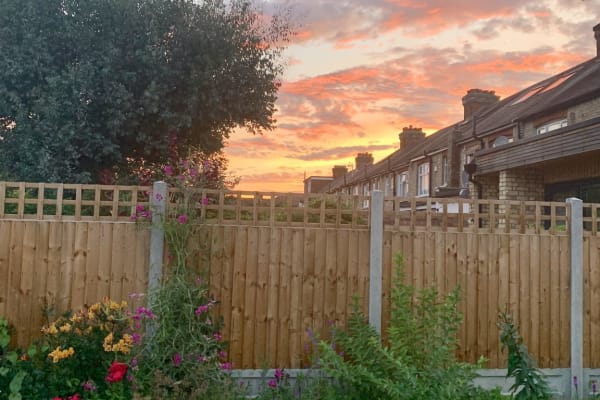 House sit in Chingford, United Kingdom