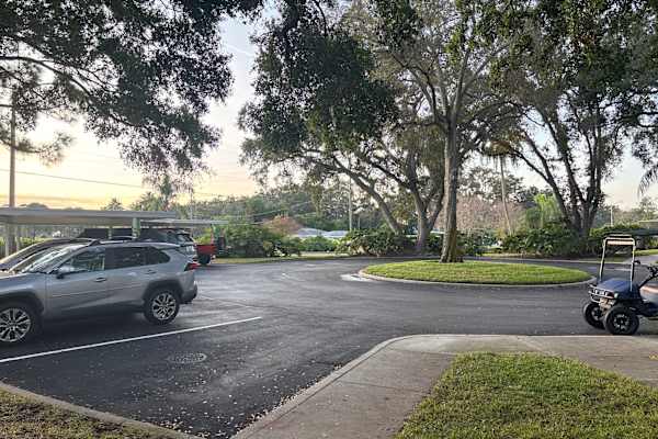 House sit in Dunedin, FL, US