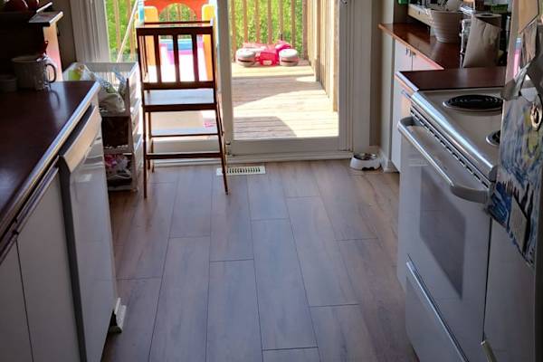 House sit in Georgetown, ON, Canada
