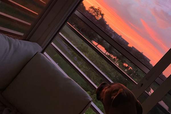 House sit in Pompano Beach, FL, US