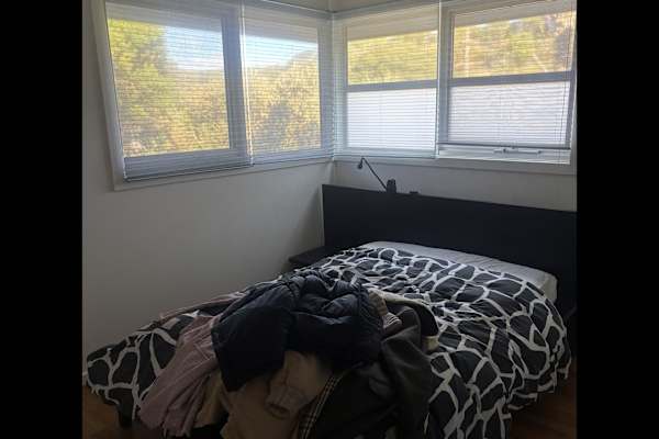 House sit in Point Lonsdale, VIC, Australia