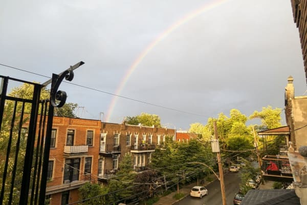 House sit in Montréal, QC, Canada