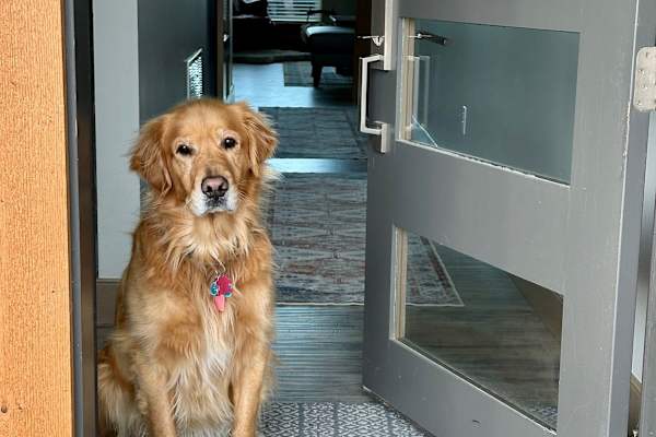 House sit in Bozeman, MT, US